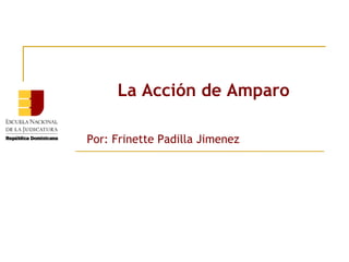 La Acción de Amparo

Por: Frinette Padilla Jimenez
 