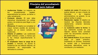 Principios del procedimiento
del juicio laboral
• Audiencias Orales: La mayoría de
los procedimientos legales,
especialmente los juicios, se llevan a
cabo verbalmente.
• Contacto directo: El juez debe
interactuar directamente con ambas
partes y la evidencia para llegar a una
decisión.
• Eficiencia: El objetivo es completar el
mayor número posible de acciones
legales en el menor número de
audiencias.
• Abierto al público: Las audiencias
están abiertas a todos, a menos que
la ley indique específicamente lo
contrario.
• El empleador tiene la carga de la
prueba: a menudo, se asume la
existencia de una relación laboral y el
empleador es responsable de
demostrar lo contrario.
• Justicia sin costo: El acceso a la
justicia laboral, ya sea a través de
tribunales o de órganos
administrativos, es gratuito, no se
aplican tarifas ni cargos.
• Resolución rápida: El objetivo es
resolver las disputas laborales
rápidamente, evitando demoras
innecesarias.
• La sustancia sobre la forma: lo
que realmente sucede en una
relación laboral tiene prioridad
sobre los documentos escritos o
las apariencias.
• Rol Judicial Activo: El juez laboral
juega un papel proactivo,
impulsando el proceso, buscando
la verdad real y fomentando
soluciones alternativas como la
conciliación y la mediación.
 