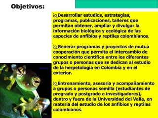 Objetivos:
             Desarrollar estudios, estrategias,
             programas, publicaciones, talleres que
             permitan obtener, ampliar y divulgar la
             información biológica y ecológica de las
             especies de anfibios y reptiles colombianos.

             Generar programas y proyectos de mutua
             cooperación que permita el intercambio de
             conocimiento científico entre los diferentes
             grupos o personas que se dedican al estudio
             de la herpetología en Colombia y en el
             exterior.

             Entrenamiento, asesoria y acompañamiento
             a grupos o personas semilla (estudiantes de
             pregrado y postgrado e investigadores),
             dentro y fuera de la Universidad del Valle, en
             materia del estudio de los anfibios y reptiles
             colombianos.
 