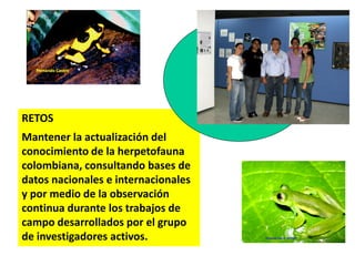 RETOS
Mantener la actualización del
conocimiento de la herpetofauna
colombiana, consultando bases de
datos nacionales e internacionales
y por medio de la observación
continua durante los trabajos de
campo desarrollados por el grupo
de investigadores activos.
 