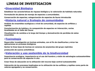 LINEAS DE INVESTIGACION
•Diversidad Biológica
Establecer las características de riqueza biológica y la valoración de habitats naturales
Formulación de planes de manejo de especies o comunidades.
Conservación de especies; categorización de especies de fauna introducida
•Historia natural y Ecología de comunidades
Análisis de ensambles ecológicos a nivel de comunidad, de especies de anfibios y
reptiles
Caracterización de habitas y la composición de especies en interacción, varias
localidades en el Valle del Cauca
Visualización de cambios a lo largo del tiempo y demostración de perdidas de estos
ensambles

•Toxinología
Desarrollar investigación en toxinas animales, con el fin de clasificarles y mirar las
aplicaciones en procesos biológicos
Sentar la línea base de toxinas en venenos de serpientes del grupo vipéridos
producción de sueros antiofídicos

•Valoración y uso sostenible de la biodiversidad
Importancia ecológica, importancia en el uso del hombre y visión de estrategias autosostenibles
para la conservación de especies in situ

Crear línea de educación en la utilización del recurso bajo control autosostenible

Valoración de los procesos implicados en la utilización de los anfibios y reptiles como parte de
valores agregados y su conservación.
 
