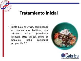 Tratamiento inicial
• Dieta baja en grasa, combinando
el concentrado habitual, con
alimento casero (zanahoria,
lechuga, arroz sin sal, avena en
hojuelas, pollo cocinado),
proporción 1:1
 