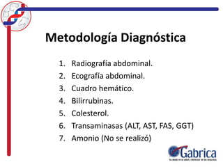 Metodología Diagnóstica
1. Radiografía abdominal.
2. Ecografía abdominal.
3. Cuadro hemático.
4. Bilirrubinas.
5. Colesterol.
6. Transaminasas (ALT, AST, FAS, GGT)
7. Amonio (No se realizó)
 