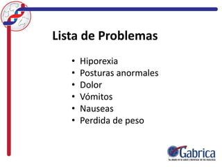 Lista de Problemas
• Hiporexia
• Posturas anormales
• Dolor
• Vómitos
• Nauseas
• Perdida de peso
 