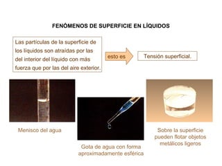 FENÓMENOS DE SUPERFICIE EN LÍQUIDOS Gota de agua con forma aproximadamente esférica Menisco del agua Sobre la superficie pueden flotar objetos metálicos ligeros Las partículas de la superficie de los líquidos son atraídas por las del interior del líquido con más fuerza que por las del aire exterior. Tensión superficial. esto es 