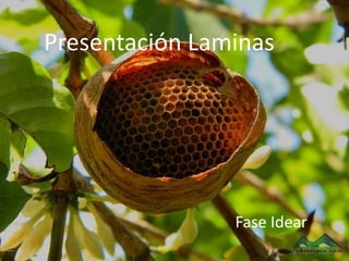 Presentación Laminas




                Fase Idear
 