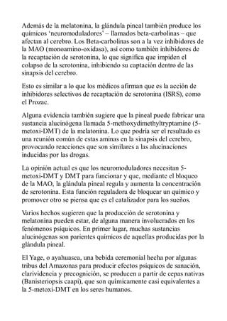 Además de la melatonina, la glándula pineal también produce los
químicos ‘neuromoduladores’ – llamados beta-carbolinas – que
afectan al cerebro. Los Beta-carbolinas son a la vez inhibidores de
la MAO (monoamino-oxidasa), así como también inhibidores de
la recaptación de serotonina, lo que significa que impiden el
colapso de la serotonina, inhibiendo su captación dentro de las
sinapsis del cerebro.
Esto es similar a lo que los médicos afirman que es la acción de
inhibidores selectivos de recaptación de serotonina (ISRS), como
el Prozac.
Alguna evidencia también sugiere que la pineal puede fabricar una
sustancia alucinógena llamada 5-methoxydimethyltryptamine (5-
metoxi-DMT) de la melatonina. Lo que podría ser el resultado es
una reunión común de estas aminas en la sinapsis del cerebro,
provocando reacciones que son similares a las alucinaciones
inducidas por las drogas.
La opinión actual es que los neuromoduladores necesitan 5-
metoxi-DMT y DMT para funcionar y que, mediante el bloqueo
de la MAO, la glándula pineal regula y aumenta la concentración
de serotonina. Esta función reguladora de bloquear un químico y
promover otro se piensa que es el catalizador para los sueños.
Varios hechos sugieren que la producción de serotonina y
melatonina pueden estar, de alguna manera involucrados en los
fenómenos psíquicos. En primer lugar, muchas sustancias
alucinógenas son parientes químicos de aquellas producidas por la
glándula pineal.
El Yage, o ayahuasca, una bebida ceremonial hecha por algunas
tribus del Amazonas para producir efectos psíquicos de sanación,
clarividencia y precognición, se producen a partir de cepas nativas
(Banisteriopsis caapi), que son químicamente casi equivalentes a
la 5-metoxi-DMT en los seres humanos.
 