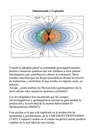 Sintonizando y Captando




Cuando la glándula pineal es estimulada geomagnéticamente,
produce sustancias químicas que son similares a estas plantas
alucinógenas, que contribuyen a alterar la conciencia. Otros
estudios muestran que las drogas psicodélicas alteran los niveles
de melatonina y serotonina, lo que resulta, en algunos casos, en
psicosis.
Así que, ¿cómo podrían las fluctuaciones geomagnéticas de la
tierra afectar estas sustancias químicas cerebrales?
Los investigadores han encontrado que los campos
electromagnéticos y geomagnéticos afectan en gran medida la
producción y la actividad de la enzima hidroxiindol-O-
metiltransferasa (HIOMT).
Esta enzima es la que está implicada en la producción de
melatonina y, posiblemente, de la 5-METHOXYTRYPTAMINE
(5-MT). Cualquier cambio en el campo magnético puede producir
cambios en la actividad de esta enzima.
 