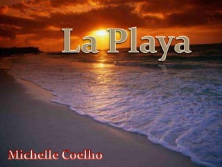 La Playa Michelle Coelho 