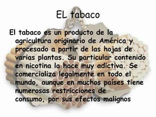 EL tabaco El tabaco es un producto de la agricultura originario de América y procesado a partir de las hojas de varias plantas. Su particular contenido en nicotina la hace muy adictiva. Se comercializa legalmente en todo el mundo, aunque en muchos países tiene numerosas restricciones de consumo, por sus efectos malignos 
