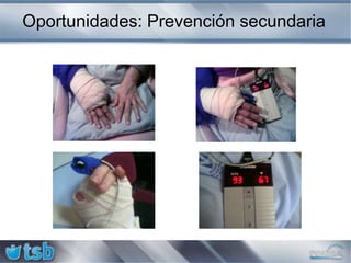 Algoritmos y Entrenamientos