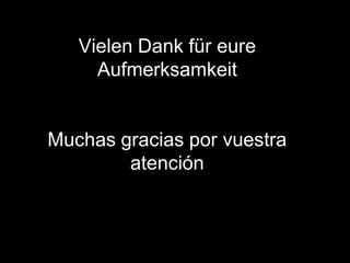 Vielen Dank für eure
     Aufmerksamkeit


Muchas gracias por vuestra
        atención
 
