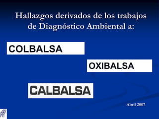 Hallazgos derivados de los trabajos
de Diagnóstico Ambiental a:
OXIBALSA
COLBALSA
Abril 2007
 