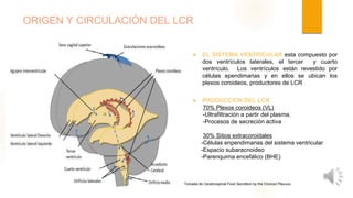 Presentación LCR final.ppt
