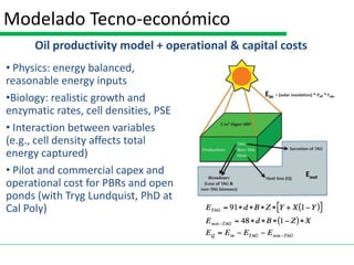 Modelado Tecno-económico
      Oil productivity model + operational & capital costs
• Physics: energy balanced,
reasonable energy inputs
•Biology: realistic growth and
enzymatic rates, cell densities, PSE
• Interaction between variables
(e.g., cell density affects total
energy captured)
• Pilot and commercial capex and
operational cost for PBRs and open
ponds (with Tryg Lundquist, PhD at
Cal Poly)
 