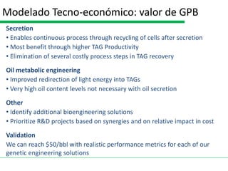 Modelado Tecno-económico: valor de GPB
Secretion
• Enables continuous process through recycling of cells after secretion
• Most benefit through higher TAG Productivity
• Elimination of several costly process steps in TAG recovery
Oil metabolic engineering
• Improved redirection of light energy into TAGs
• Very high oil content levels not necessary with oil secretion
Other
• Identify additional bioengineering solutions
• Prioritize R&D projects based on synergies and on relative impact in cost
Validation
We can reach $50/bbl with realistic performance metrics for each of our
genetic engineering solutions
 