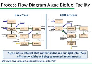 Process Flow Diagram Algae Biofuel Facility
                                Base Case                                                                  GPB Process
Make-up Water
                  Inoculation
                    Ponds                   Recirculation



                                                                 Algae Biomass
                                                                                                Blowdown
Make-up Water
                High Rate Algae                                                    Gravity
                                                Settling Basin
                    Ponds                                                         Thickener


                                                                                         Algae Biomass
                         CO2               Digestate

  Natural Gas
                                                 Anaerobic                       Solar Drying
                  Generator
                                    CH4           Digester                          Beds
                                     +
                                    CO2
                                                            Residuals                    Algae Biomass
                           Unrefined Oil
                                               Solvent Based
                                                                                 Flash Dryer
                                               Oil-Extraction




                Algae acts a catalyst that converts CO2 and sunlight into TAGs
                       efficiently, without being consumed in the process
  Work with Tryg Lundquist, Assistant Professor at Cal Poly
 