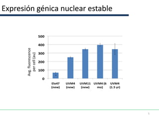 Avg. fluorescence
           per cell (au)




    Avg. fluorescence
      per cell (au)
                             Expresión génica nuclear estable




5
 