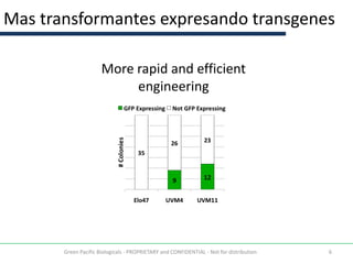 Mas transformantes expresando transgenes

                      More rapid and efficient
                           engineering




       Green Pacific Biologicals - PROPRIETARY and CONFIDENTIAL - Not for distribution   6
 