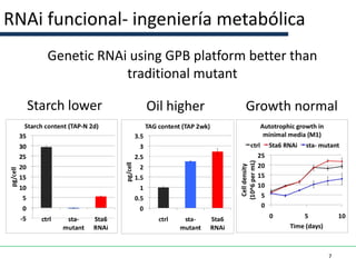 RNAi funcional- ingeniería metabólica
     Genetic RNAi using GPB platform better than
                 traditional mutant

  Starch lower      Oil higher      Growth normal




                                                   7
 