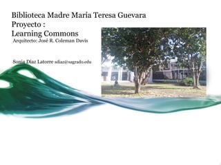 Biblioteca Madre María Teresa Guevara
Proyecto :
Learning Commons
Arquitecto: José R. Coleman Davis
Sonia Díaz Latorre sdiaz@sagrado.edu
 