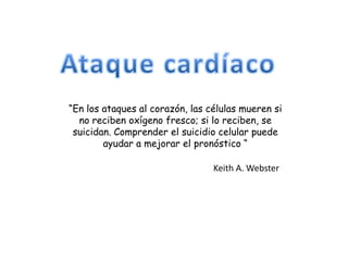 “En los ataques al corazón, las células mueren si
  no reciben oxígeno fresco; si lo reciben, se
 suicidan. Comprender el suicidio celular puede
        ayudar a mejorar el pronóstico “

                                 Keith A. Webster
 