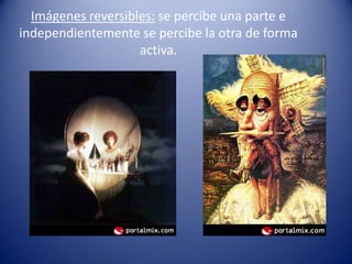 Imágenes reversibles: se percibe una parte e
independientemente se percibe la otra de forma
                    activa.
 