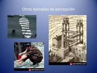 Otros ejemplos de percepción
 
