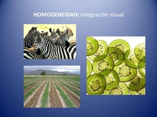 HOMOGENEIDAD: integración visual
 
