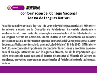 Conformación del Consejo Nacional 
Asesor de Lenguas Nativas 
 