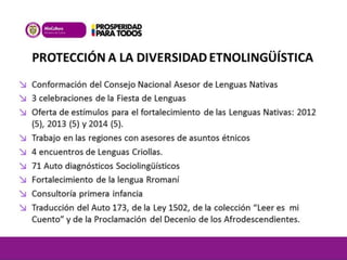 PROTECCIÓN A LA DIVERSIDAD ETNOLINGÜÍSTICA 
↘ Conformación del Consejo Nacional Asesor de Lenguas Nativas 
↘ 3 celebraciones de la Fiesta de Lenguas 
↘ Oferta de estímulos para el fortalecimiento de las Lenguas Nativas: 2012 
(5), 2013 (5) y 2014 (5). 
↘ Trabajo en las regiones con asesores de asuntos étnicos 
↘ 4 encuentros de Lenguas Criollas. 
↘ 71 Auto diagnósticos Sociolingüísticos 
↘ Fortalecimiento de la lengua Rromaní 
↘ Consultoría primera infancia 
↘ Traducción del Auto 173, de la Ley 1502, de la colección “Leer es mi 
Cuento” y de la Proclamación del Decenio de los Afrodescendientes. 
 