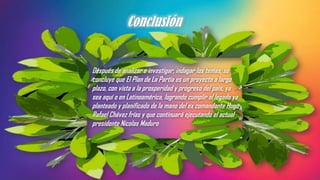 Conclusión
Después de analizar e investigar, indagar los temas, se
concluye que El Plan de La Partía es un proyecto a largo
plazo, con vista a la prosperidad y progreso del país, ya
sea aquí o en Latinoamérica, logrando cumplir el legado ya
planteado y planificado de la mano del ex comandante Hugo
Rafael Chávez frías y que continuará ejecutando el actual
presidente Nicolas Maduro
 