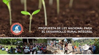 PROPUESTA DE LEY NACIONAL PARA
​EL DESARROLLO RURAL INTEGRAL
 