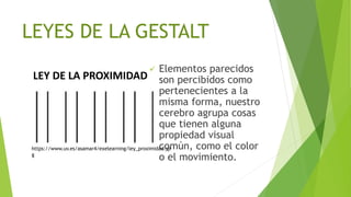 LEYES DE LA GESTALT
 Elementos parecidos
son percibidos como
pertenecientes a la
misma forma, nuestro
cerebro agrupa cosas
que tienen alguna
propiedad visual
común, como el color
o el movimiento.
LEY DE LA PROXIMIDAD
https://www.uv.es/asamar4/exelearning/ley_proximidad.jp
g
 