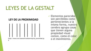 LEYES DE LA GESTALT
 Elementos parecidos
son percibidos como
pertenecientes a la
misma forma, nuestro
cerebro agrupa cosas
que tienen alguna
propiedad visual
común, como el color
o el movimiento.
LEY DE LA PROXIMIDAD
https://www.uv.es/asamar4/exelearning/ley_proximidad.jp
g
 