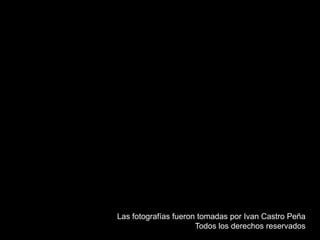 Las fotografías fueron tomadas por Ivan Castro PeñaTodos los derechos reservados