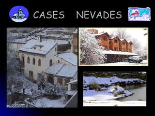 CASES NEVADES