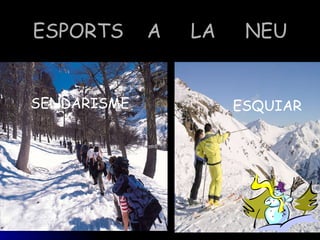 ESPORTS A LA NEU ESQUIAR SENDARISME