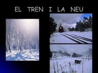 EL TREN I LA NEU