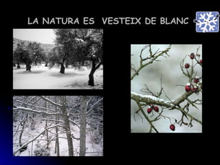 LA NATURA ES VESTEIX DE BLANC