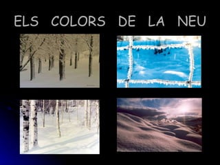 ELS COLORS DE LA NEU