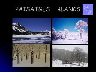 PAISATGES BLANCS