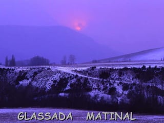 GLASSADA MATINAL