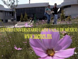 CENTRO UNIVERSITARIO UAEM VALLE DE MÉXICO www.uaemex.mx 