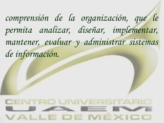 comprensión de la organización, que le permita analizar, diseñar, implementar, mantener, evaluar y administrar sistemas de información. 