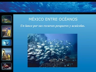 MÉXICO ENTRE OCÉANOS Un lance por sus recursos pesqueros y acuícolas.   