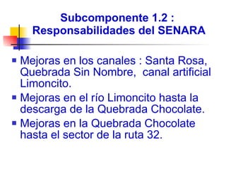Subcomponente 1.2 :  Responsabilidades del SENARA Mejoras en los canales : Santa Rosa, Quebrada Sin Nombre,  canal artificial Limoncito. Mejoras en el río Limoncito hasta la descarga de la Quebrada Chocolate. Mejoras en la Quebrada Chocolate hasta el sector de la ruta 32.   