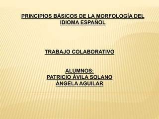 PRINCIPIOS BÁSICOS DE LA MORFOLOGÍA DEL
IDIOMA ESPAÑOL
TRABAJO COLABORATIVO
ALUMNOS:
PATRICIO ÀVILA SOLANO
ÀNGELA AGUILAR
 