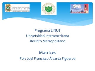 Programa LINUS
Universidad Interamericana
Recinto Metropolitano
Matrices
Por: Joel Francisco Álvarez Figueroa
 