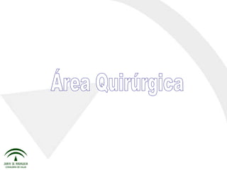 Área Quirúrgica 